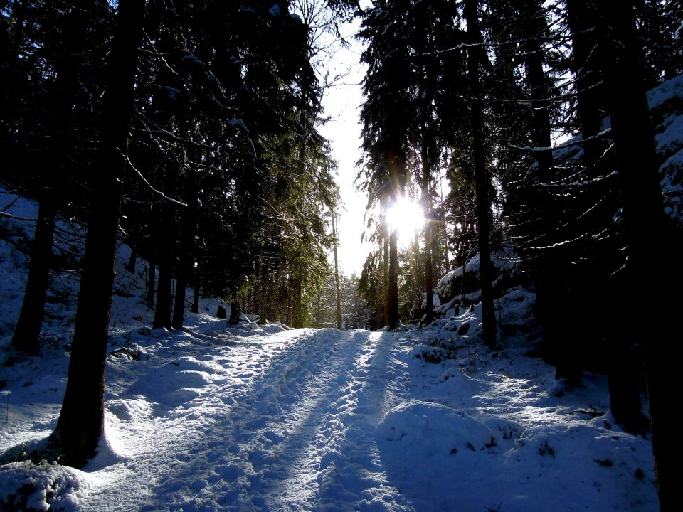 Nature finnish blue photo