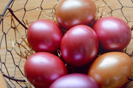 Colored food custom