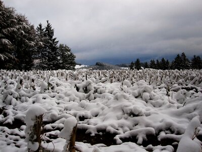 First snow winter blast black forest