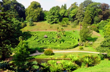 Garden labyrinth green
