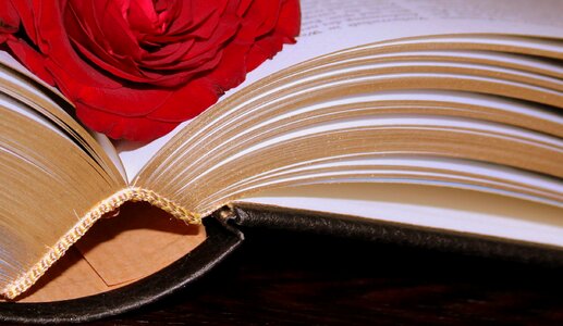 Valuable pages book pages