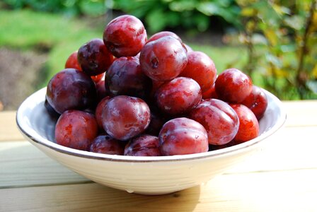 Food sweet ripe