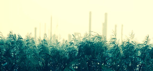 Industrial environment natural