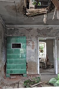 Old invaded overgrown