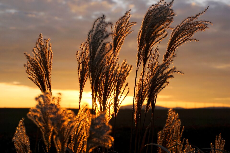 Sun afterglow abendstimmung photo