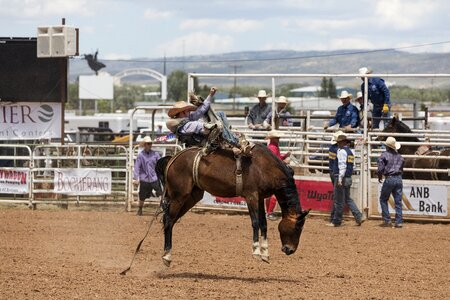 Bronco horse man photo