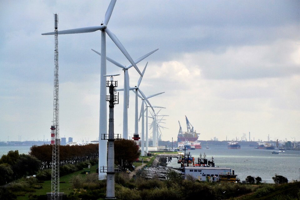 Windmills energy rotterdam