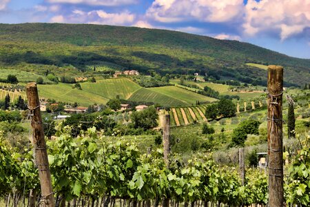 Italy hill field