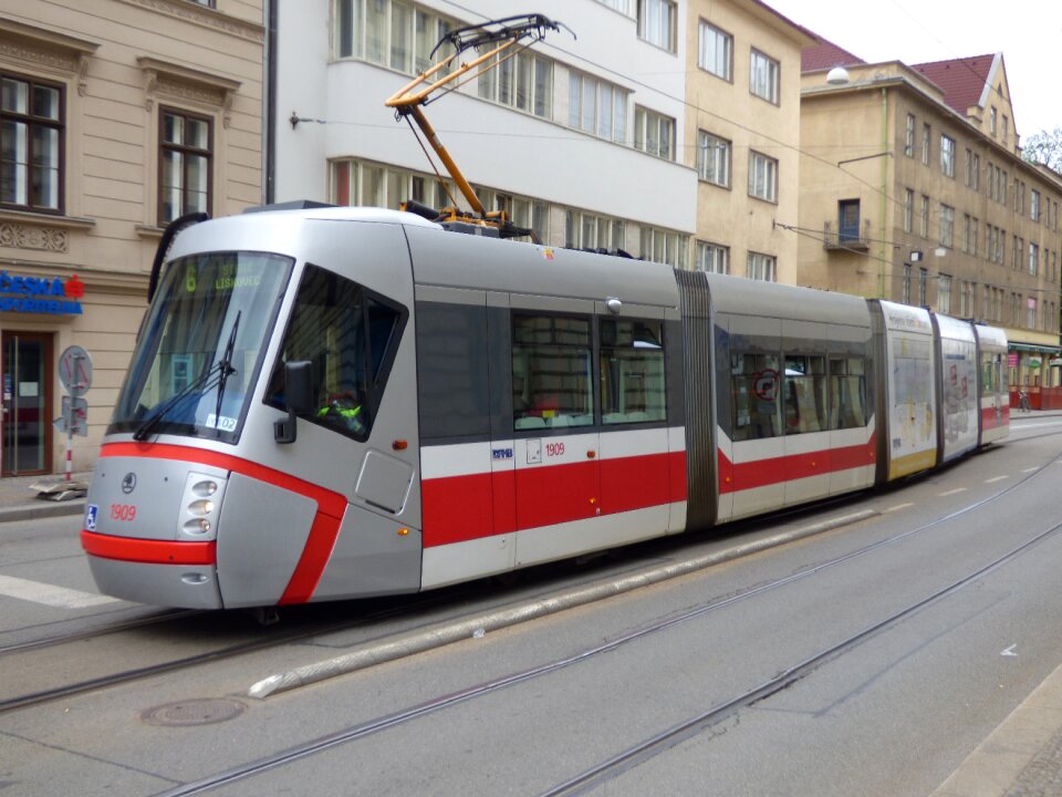 Transport communication horse