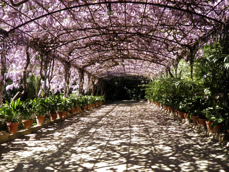 Pergola wedding floral
