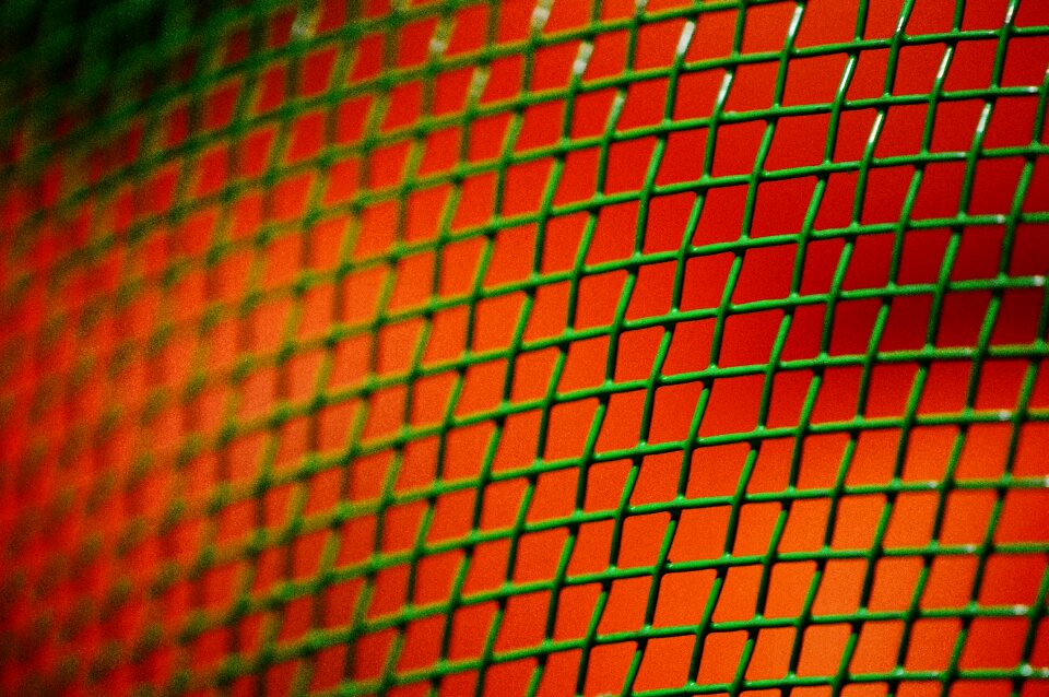 Fruit dome web green