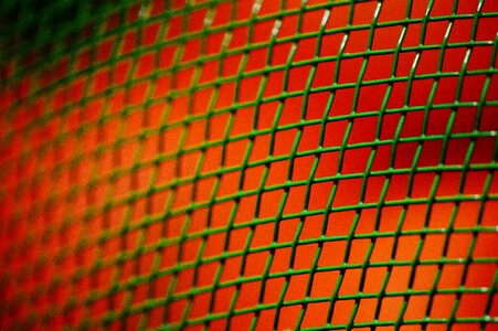 Fruit dome web green