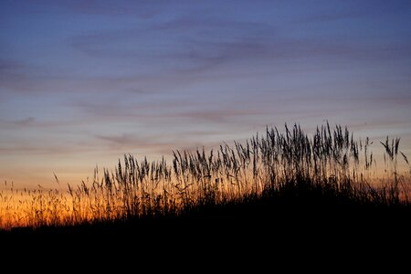 Nature evening landscape photo