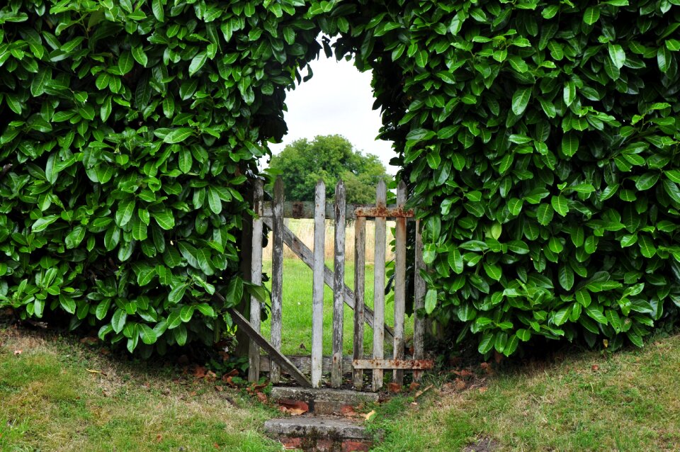 Garden gate input wooden door