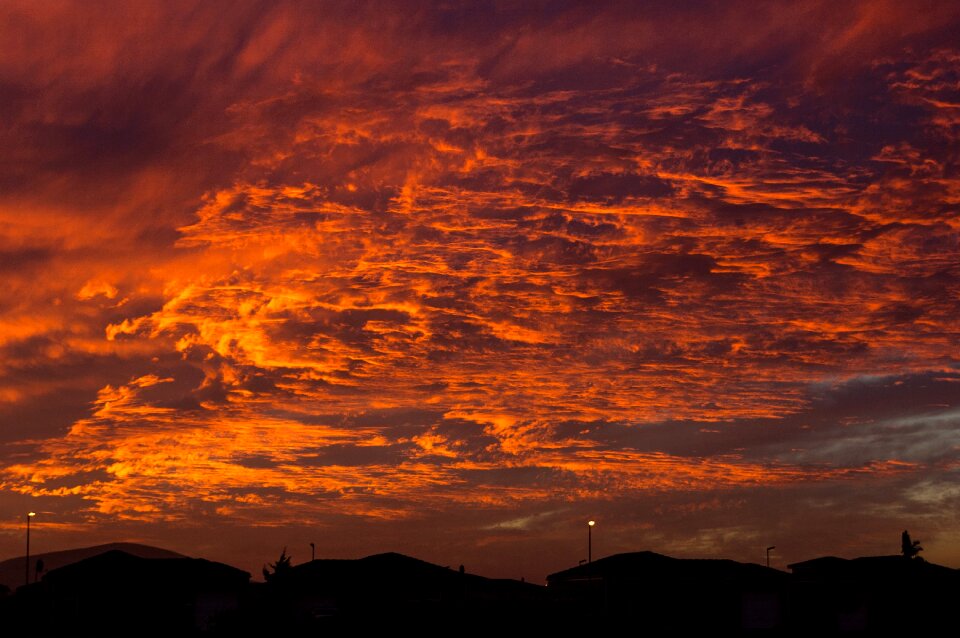 Skyline oranges purples