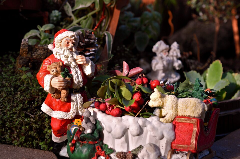Christmas holiday xmas