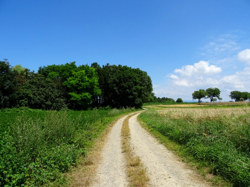 Silent mood field