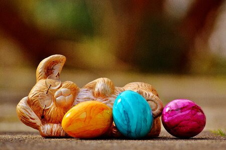 Hare happy easter colorful eggs photo
