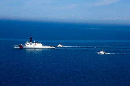 USCGC Hamilton and Georgian Underway Maneuvers