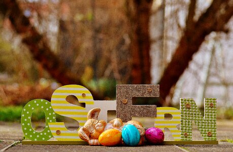 Hare happy easter colorful eggs photo