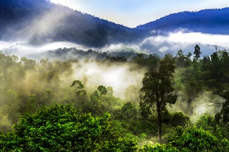 Nature landscape foggy photo