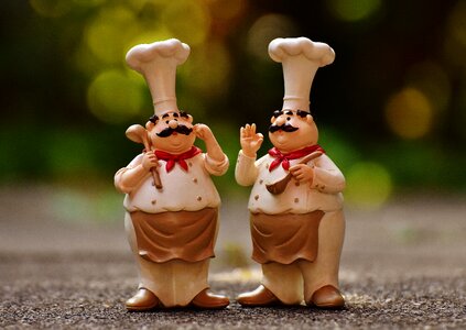 Cook gastronomy restaurant