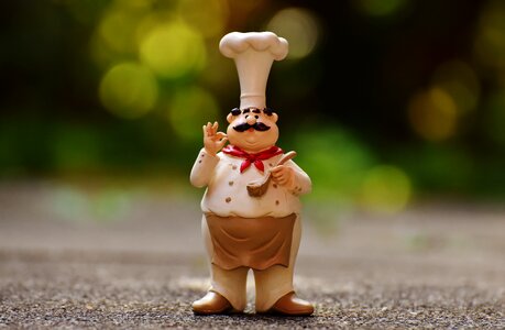 Cook gastronomy restaurant