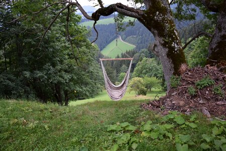 Meadow green alm