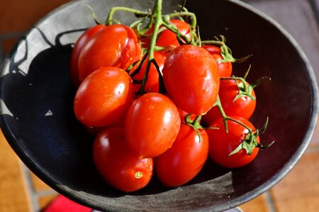 Fresh salad food