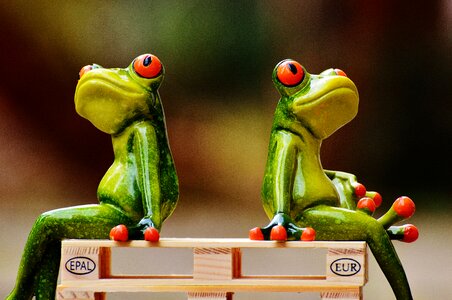 Frogs euro pallets rest
