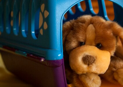 Plush dog basket veterinarian