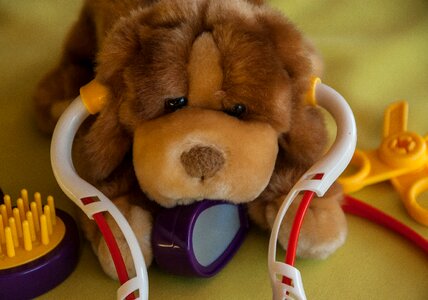 Veterinarian stethoscope care