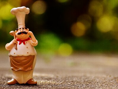 Cook gastronomy restaurant