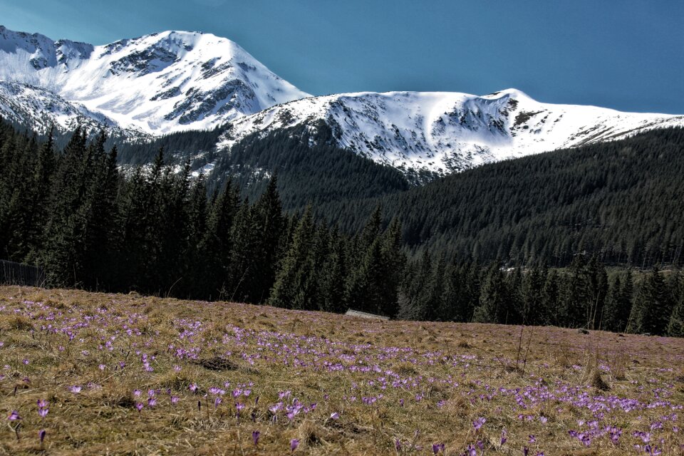 Mountains snow spring