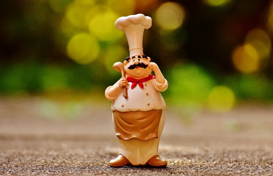 Cook gastronomy restaurant