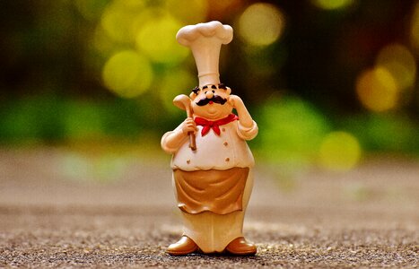 Cook gastronomy restaurant