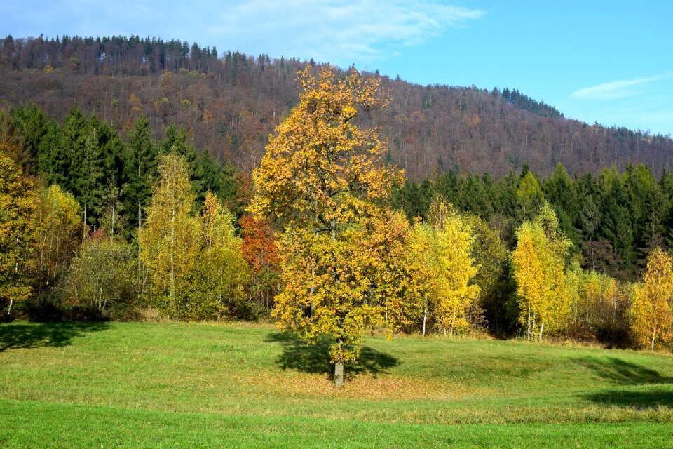 Mountains panorama nature