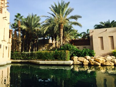 City arab travel