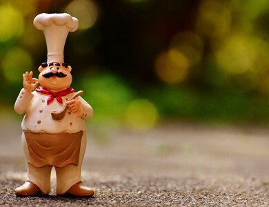 Cook gastronomy restaurant