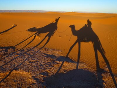 Morocco sand dune nature photo
