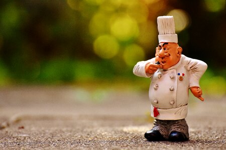 Cook gastronomy restaurant