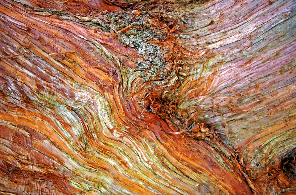 Wood brown outdoors