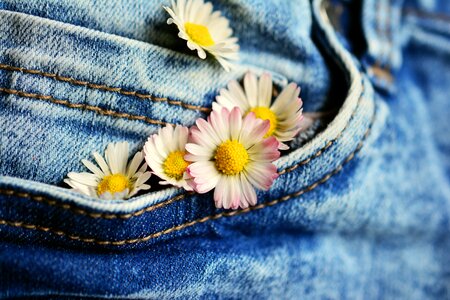 Flowers textile denim