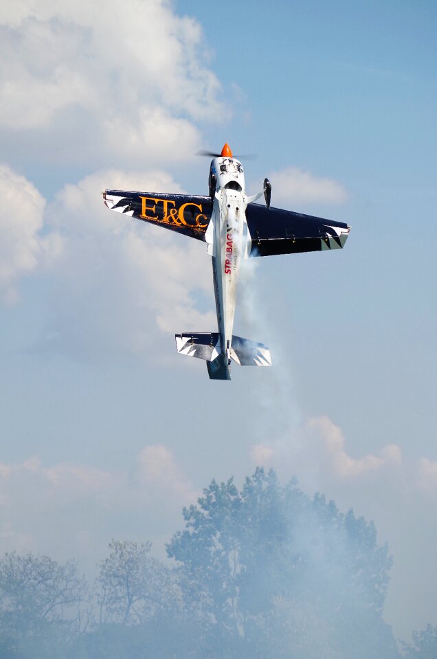 Aircraft fly model