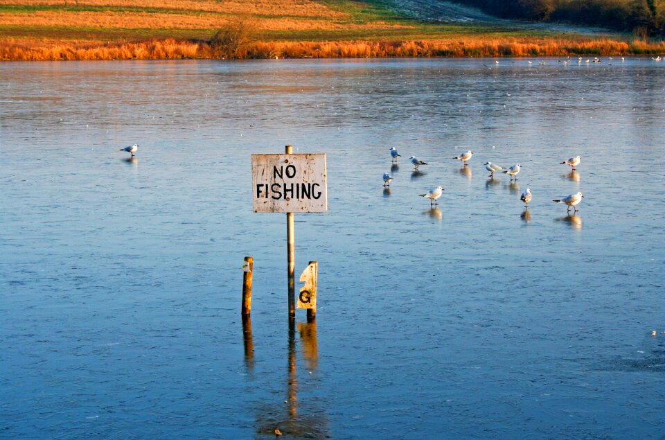 Fishing water nature photo