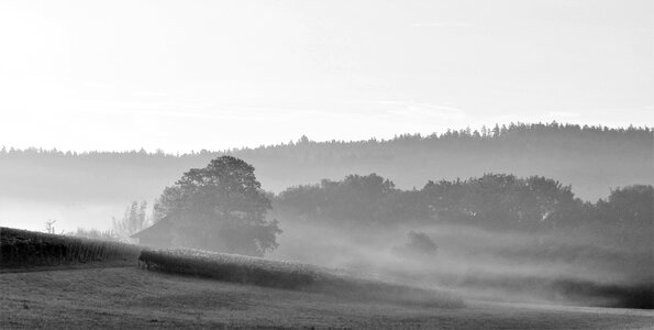 Landscape morning fog photo