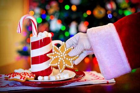 Hot chocolate drink cookies holiday