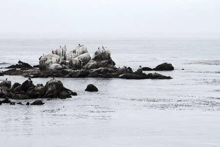 Serene serenity lonliness