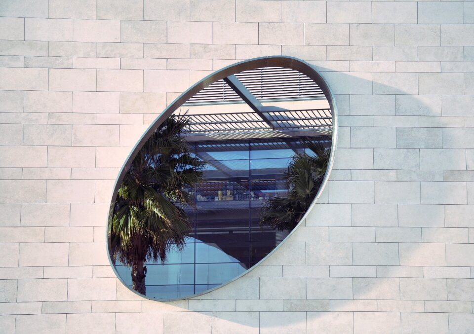 Wall illusion palm tree