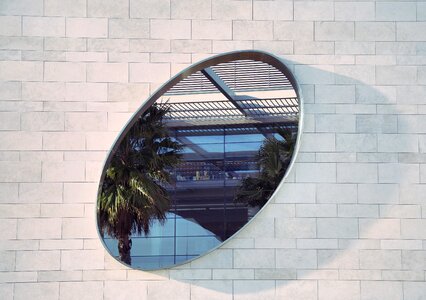 Wall illusion palm tree